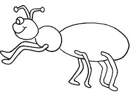 Coloring is a very useful hobby for kids. Ant Clipart Colouring Page Ant Colouring Page Transparent Free For Download On Webstockreview 2020