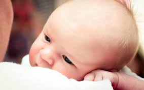 Mon Petit Chou Photographie