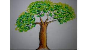 We did not find results for: Drawing Pencil Simple Tree Drawing With Color