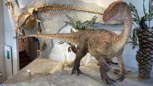 Am Schweizer Dino-Hotspot Frick muss man anderswo Knochen suchen