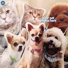 We can make custom pillows to help pet lovers keep everlasting memories of their beloved furry animals in the form of kushy pillows. Custom Shaped Pet Photo Pillow Personalized Photo Pillow Gift