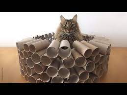 The toilet paper roll was flattened to make it easier to cut it, now you can unflatten them and shape the pieces of toilet paper roll into rings. How To Make A Mega Cat Puzzle Toy From Toilet Paper Rolls I Can Has Cheezburger