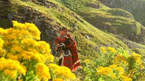 Here you will find the very best in traditional bagpipe manufacturing products combined with cutting edge performance made 100% in scotland. Photo Of A Man In Red Black And White Plaid Traditional Suit On Yellow Flower Field Free Stock Photo