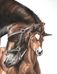 Horse And Foal Watercolor Original Artwork Watercolor Horse Animal Art Animal Paintings