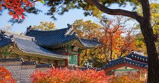 Manfred gottschalk/getty images filled with historic palaces, lively markets, and buzzing. Visitkorea Imagine Your Korea