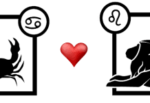 Leo cancer cusps have a tough time making a decision. Cancer And Virgo Zodiac Match Love Compatibility Astronlogia