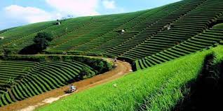 Wabup Ajukan Terasering Panyaweuyan Ke Fao Suara Cirebon