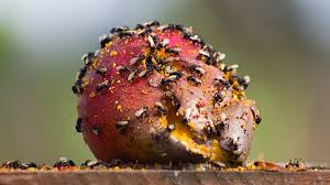 Lara.lane onlyfans nudes The Best Porn Blogs, We have made