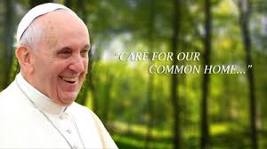 Resultado de imagem para laudato si pledge