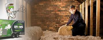 Develop compelling brand plans, localizing global brand visions or developing local brand positionings where appropriate, and creating passion, energy and focus… Brems Energy Acadiana Insulation Solutions