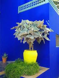 Epingle Par حسناء قرطاج Sur Maroc Avec Images Jardin Majorelle Peindre Mur Exterieur