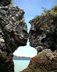 Dawn Cress (dawn6344)