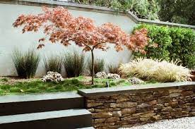 Great Design Tree Japanese Maple Japanese Garden Design Japanese Garden Backyard Landscaping