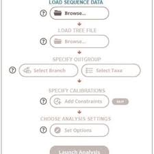 Prin investiii permanente n tehnologii performante. Pdf Estimating Timetrees With Mega And The Timetree Resource