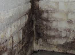 This is often addressed with hepa vacuuming, scrubbing, steam cleaning, sandblasting, etc. Black Mold On Brick Wall Novocom Top