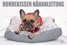 Hundeblog Genki Bulldog Hunde Kissen Hundekissen Hunde Mantel