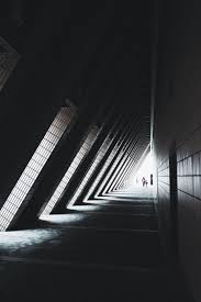 Carrot And Stick Shadow Pictures Light Architecture Shadow Images