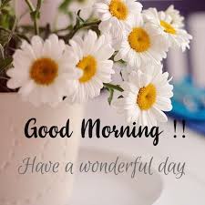 You can share these good morning in the turkish language on different social media platforms like whatsapp, facebook, instagram, etc. Good Morning Quotes Good Morning Beautiful Images Good Morning Quotes Good Morning Flowers