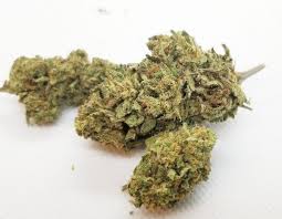 Suver Haze Hemp Flower 21 4 Cbd Cbd Flowers Herbs
