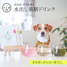 犬 薬 膳