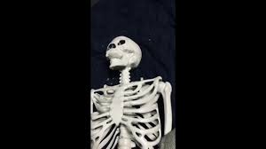 You better Check the Skeleton before you Wreck the Skeleton - Pornhub Gay