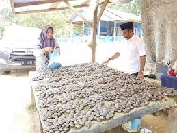 1 kg kijing / kerang air tawar rendam terlebih dahulu selama 3 sampai 4 jam, kemudian cuci bersih dan tiriskan bumbu. Pempeng Kerang Air Tawar Steemit