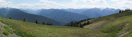 Hurricane hill via hurricane ridge is a 3.4 mile heavily trafficked out and back trail located near port angeles, washington that features beautiful wild flowers and is rated as moderate. Hurricane Ridge Wikipedia