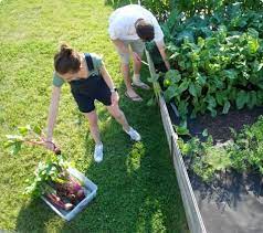 Seedsheet Take Control Of Your Food As Seen On Shark Tank Seedsheets Gardening Ideas Vegetable Garden Shed Diy Garden Mats