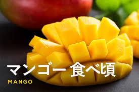 4:54 kindai university 39 960 просмотров. ç¾Žå'³ã—ã„ã‚µã‚¤ãƒ³ã‚'è¦‹é€ƒã•ãªã„ã§ ãƒžãƒ³ã‚´ãƒ¼ã®é£Ÿã¹é ƒã®è¦‹åˆ†ã'æ–¹ã¨ä¿å­˜æ–¹æ³•ã‚'è§£èª¬ ãµã‚‹ãªã³å…¬å¼ãƒ–ãƒ­ã‚° ãµã‚‹ã•ã¨ç´ç¨Ždiscovery