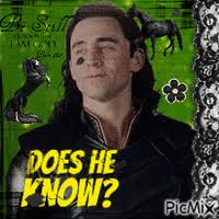 Black Horse Galloping, horse , black , galloping