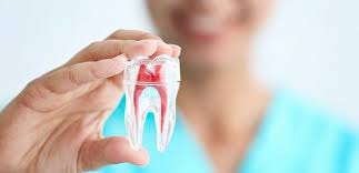 Find updated content daily, delivering top results from across the web. Endodontist In Barsha Dubai All Smiles Dental Spa In 2020 Root Canal Treatment Dental Implant Surgery Orthodontics Braces