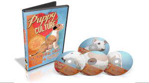 Quickly browse through hundreds of kennel tools and systems and narrow down your top choices. A Look Inside Puppy Culture Youtube