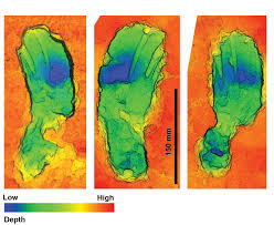 Everything you don't want to happen will happen, and you might find yourself begging for privacy and alone time. How Fossil Footprints Of A Mother And Child Describe The Longest Known Prehistoric Journey