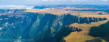 Find detailed information on landscaping services companies in rio grande do sul, brazil, including financial statements, sales and marketing contacts, top competitors, and firmographic insights. Categoria Rio Grande Do Sul Viagens E Caminhos