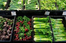 Check spelling or type a new query. 9 Manfaat Daun Seledri Untuk Kesehatan Tubuh Serta Cara Mengolahnya