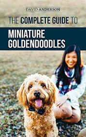We are located in northern california {redding}. The Complete Guide To Miniature Goldendoodles Learn Everything About Finding Training Feeding Socializing Housebreaking And Loving Your New Miniature Goldendoodle Puppy Ebook Anderson David Amazon Ca Kindle Store