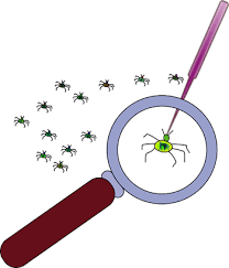 This means that a landlord is responsible for pest control and keeping infestations away. Are Landlords Or Tenants Responsible For Pest Control