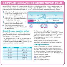 Maybe Baby Fertility Microscope Saliva Ovulation Tester