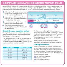 Maybe Baby Fertility Microscope Saliva Ovulation Tester