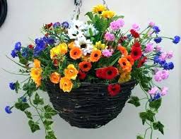 We did not find results for: Artificial Flowers For Window Boxes Fake Box Plants Outdoor Flowering Realistic Greenery Ha Artificial Hanging Baskets Hanging Flower Baskets Artifical Flowers