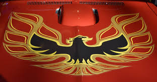 Probably the second best set i have seen in my life based on how well the lenses cleaned up. 1977 78 Pontiac Trans Am Hood Bird Decal Kit