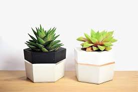 We did not find results for: Hexagon Concrete Planter For Succulent Grey Gold White Black Industrial Home Decor Concrete Planters Concrete Succulent Planters Concrete Diy Projects