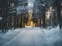 Nieve combines vivid poetic lyrics with a smooth creative flow. El Milagro De La Nieve El Desafio De Predecir Uno De Los Fenomenos Meteorologicos Mas Imprevisibles Que Existen