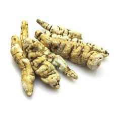 Image result for Cynanchum