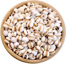 Image result for Coix