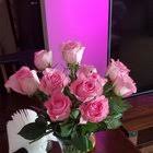 *please dm us your order number if you are experiencing any issues. Reminder You Don T Need A Man To Buy You Flowers Buy Them For Yourself Because You Deserve It Femaledatingstrategy