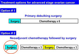 Stage i ovarian cancer is considered an early cancer. Https Www Glowm Com Pdf Book Ovariancancerupdate Cc By Ch08 Pdf
