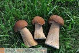 Controllate per iniziare che sui funghi porcini non si annidino dei minuscoli parassiti. Come Pulire I Funghi Bianchi
