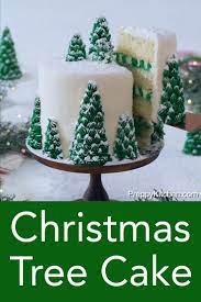 Christmastreecake Holidaycake Buttercream Wonderland Beautiful Bestcakes Christmas Delicious Vanill Christmas Cake Christmas Desserts Christmas Sweets