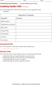 Describe and interpret drawings and photographs of typical animal and plant cells. Name Date Class This Section Describes Cell Structure And Function In Plant Cells Animal Cells And Bacteria Pdf Free Download